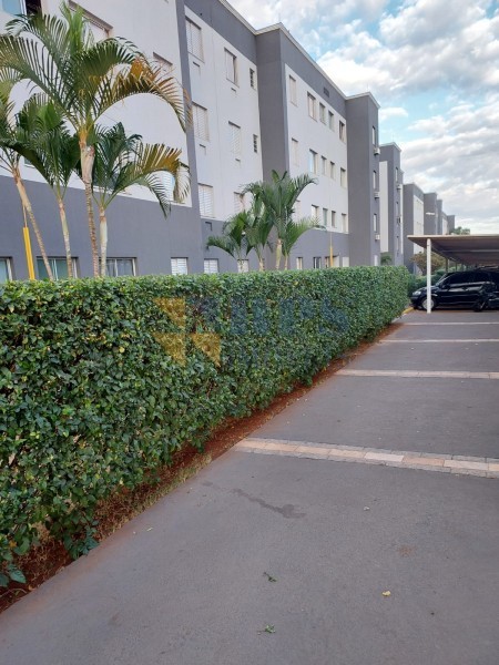 RPS Imóveis - Imobiliária em Ribeirão Preto - Grupo RPS - Gamol Construtora SP - Apartamento - JARDIM MARCHESI - Ribeirão Preto