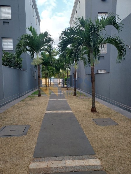 RPS Imóveis - Imobiliária em Ribeirão Preto - Grupo RPS - Gamol Construtora SP - Apartamento - JARDIM MARCHESI - Ribeirão Preto